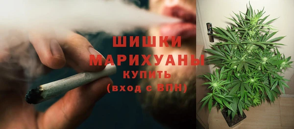 молекула духа Кинешма