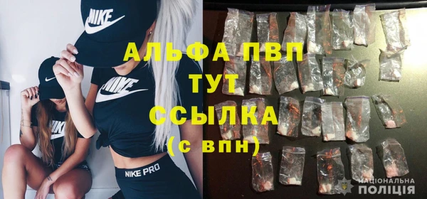 молекула духа Кинешма